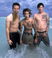 /album/fotogalerie/blink1822-jpg/